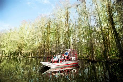 Plan a Magical Getaway to Kissimmee's Oasis